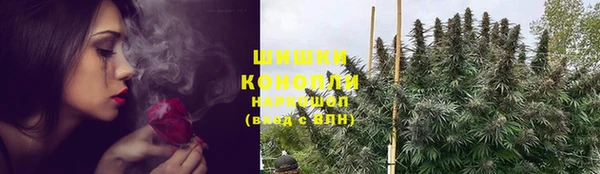СК Няндома
