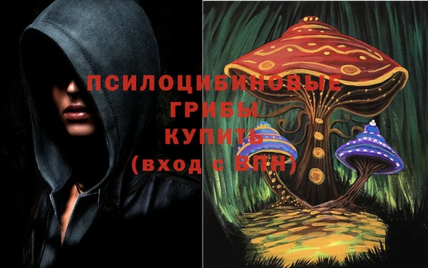 ALPHA PVP Алексеевка