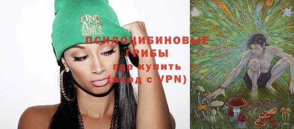 прущие грибы Нягань